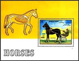 Souvenir Sheet, Trotting Horse with Sulky and Driver, Afghanistan,  , Mammals, Horses, Animals (Fauna)