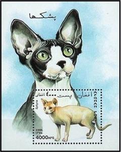Souvenir Sheet, Sphinx Cat (Felis silvestris catus), Afghanistan,  , Mammals, Cats, Animals (Fauna)