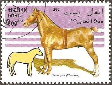 Horse (Equus ferus caballus), Pliohippus (Pliozän)