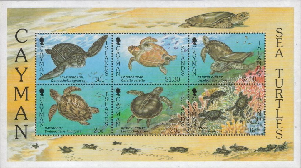 Sea Turtles - MiNo. 727-32