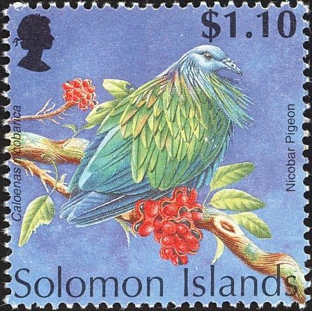 Nicobar Pigeon (Caloenas nicobarica)
