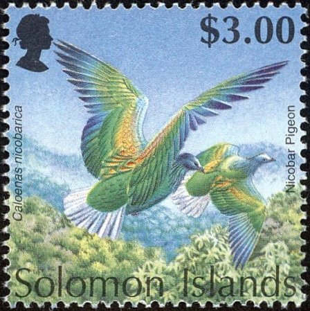 Nicobar Pigeon (Caloenas nicobarica)