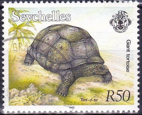 Aldabra Giant Tortoise (Aldabrachelys gigantea)