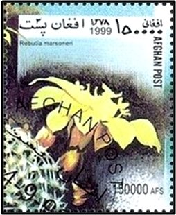 Stamp, Rebutia marsoneri, Afghanistan,  , Cacti