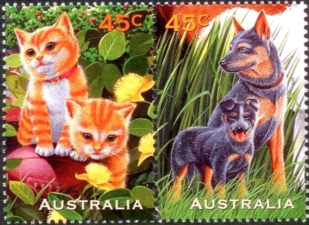 Dogs & Kittens