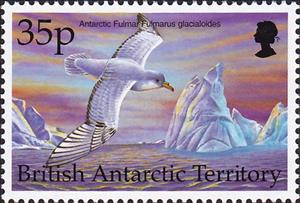 Stamp, Antarctic Fulmar (Fulmarus Glacialoides), British Antarctic Territory (BAT),  , Birds