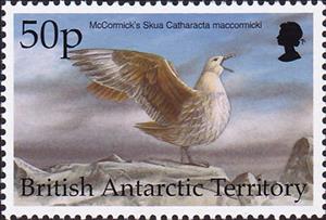 Stamp, McCormick'Skua (Catharacta maccormicki), British Antarctic Territory (BAT),  , Birds