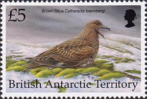 Stamp, Brown Skua (Catharacta Ioennbergi), British Antarctic Territory (BAT),  , Birds