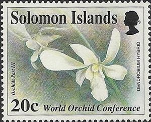 Stamp, Dendrobium hybrid, Solomon Islands,  , Orchids