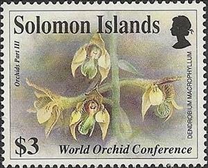 Stamp, Dendrobium macrophyllum, Solomon Islands,  , Orchids