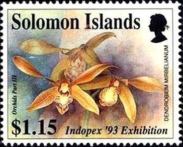 Stamp, Dendrobium mirbelianum, Solomon Islands,  , Orchids