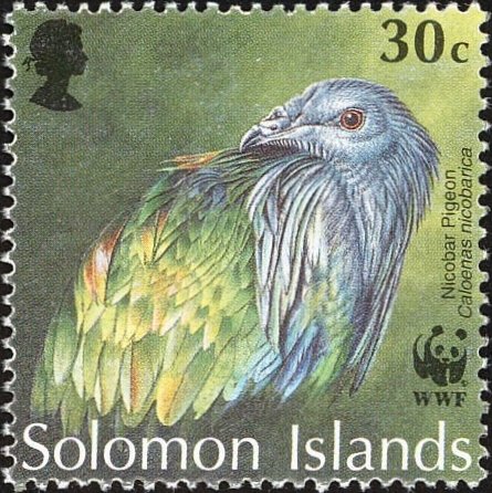 Nicobar Pigeon (Caloenas nicobarica)