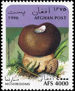 Stamp, Lycoperdon umbrinum, Afghanistan,  , Mushrooms