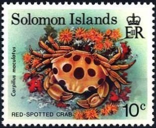 Stamp, Spotted Reef Crab (Carpilius maculatus), Solomon Islands,  , Crabs