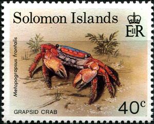 Stamp, Grapsid Crab (Metopograpsus frontalis), Solomon Islands,  , Animals (Fauna), Crabs
