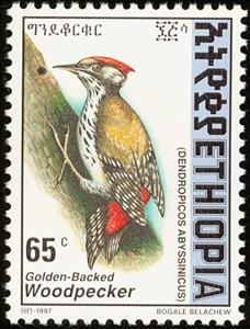 Stamp, Abyssinian Woodpecker - Dendropicos abyssinicus, Ethiopia,  , Birds
