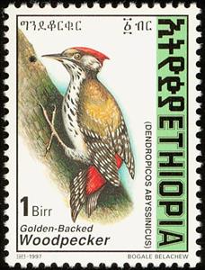 Stamp, Abyssinian Woodpecker - Dendropicos abyssinicus, Ethiopia,  , Birds