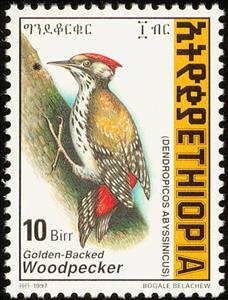 Stamp, Abyssinian Woodpecker - Dendropicos abyssinicus, Ethiopia,  , Birds