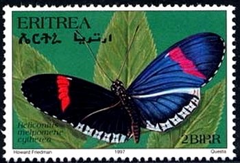 Postman Butterfly (Heliconius melpomene)