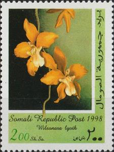 Stamp, Wilsonara lyoth, Cinderellas,  , Orchids