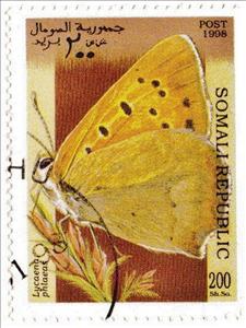 Stamp, Lycaena phlaeas, Cinderellas,  , Butterflies