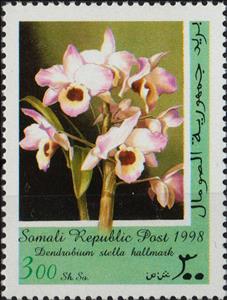 Stamp, Miltania isis, Cinderellas,  , Orchids