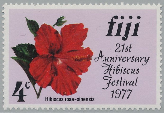 Hibiscus