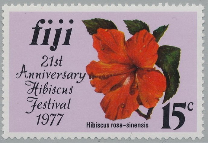 Hibiscus