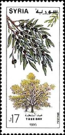 Arbor Day