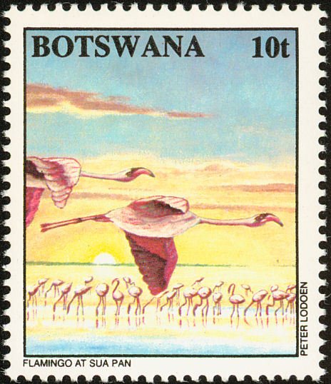 Flamingos, Sua Pan