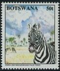 Zebra, Makgadikgadi trees