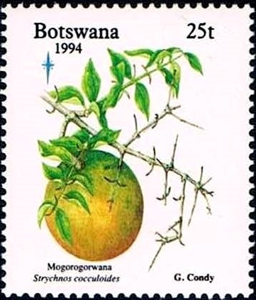 Strychnos cocculoides