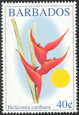 Heliconia caribaea