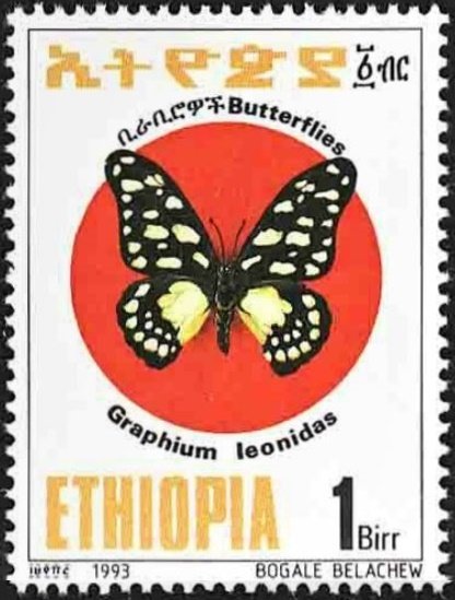 Veined Swordtail (Graphium leonidas)