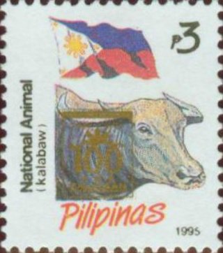 National Animal: Asian Buffalo  (Bubalus arnee)