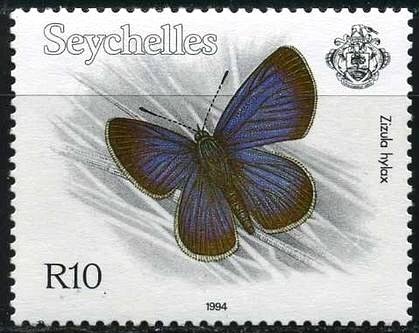 Tiny Grass Blue (Zizula hylax)