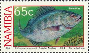 Stamp, Steenbras (Lithognathus aureti) , Namibia,  , Fishes