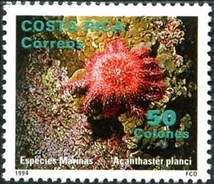 Stamp, Crown-of-thorns Starfish (Acanthaster planci), Costa Rica,  , Sea Life