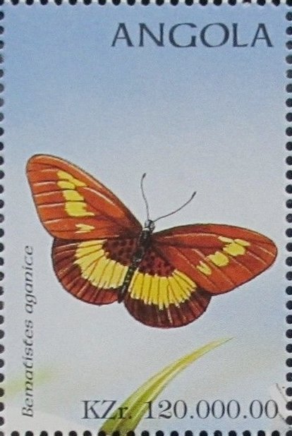 Wanderer (Bematistes aganice)