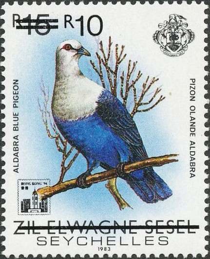 Aldabra Blue-pigeon (Alectroenas sganzini minor) 