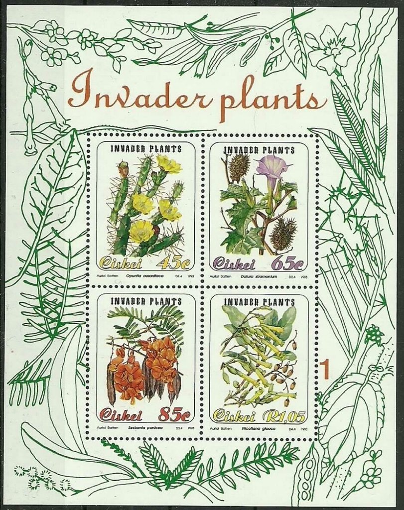 Invader plants