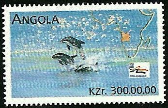 Dolphin, Letter of Africa