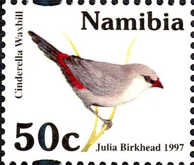 Cinderella Waxbill (Estrilda thomensis) 