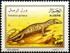 Stamp, Desert Monitor (Varanus griseus), Algeria,  , Lizards