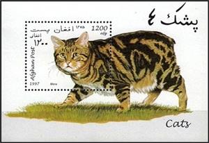 Souvenir Sheet, Manx (Felis silvestris catus), Afghanistan,  , Mammals, Cats, Animals (Fauna)