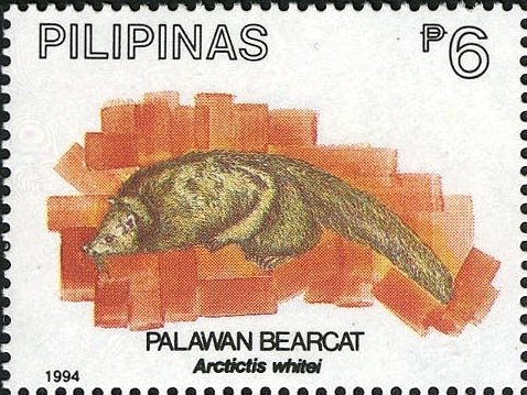 Binturong (Arctictis whitei)