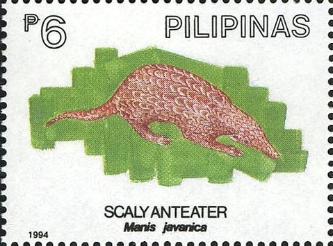 Sunda Pangolin (Manis javanica)