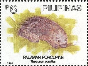 Stamp, Phillipine short-tailed Porcupine (Thecurus pumilus), Philippines,  , Animals (Fauna)
