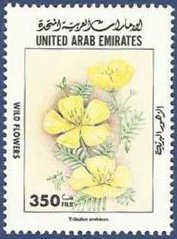 Tribulus arabicus