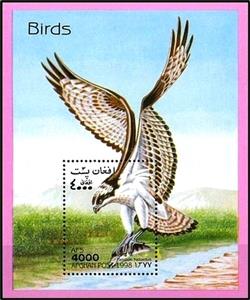 Souvenir Sheet, Osprey (Pandion haliaetus), Afghanistan,  , Birds, Birds of Prey, Animals (Fauna)